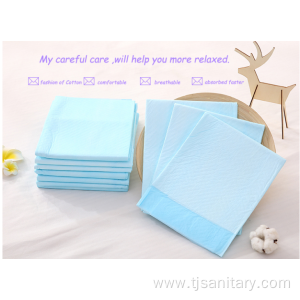 Toilet Sanitary Training Pads